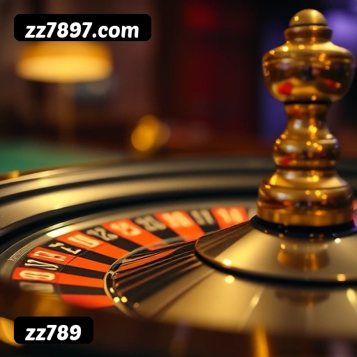 Suporte 24 horas zz789